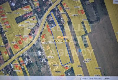 Teren Construcții intravilan de 5246 mp, în Ciofliceni - 3