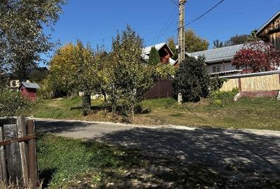 Spațiu comercial, în Comănești