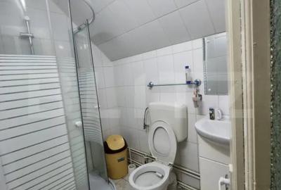 Casă cu 9 camere cu Teren 1500 Mp în Criș