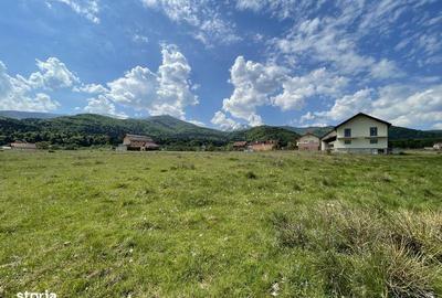 Teren de 1000 mp, în Sâmbăta de Sus - 3