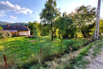 Vand teren in Corbeni, Arges - 4