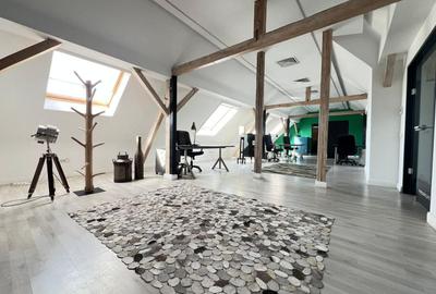 Birou, de 160 mp, în Armeneasca - 4