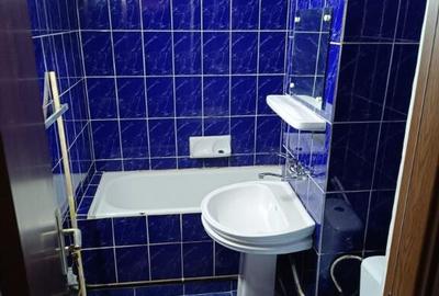 Apartamemt 2 camere Ultracentral etaj 1 - 6