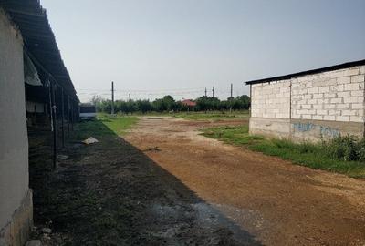 Ferma cu hale 3000 mp si teren 12000 mp, 30 km de Constanta - 11
