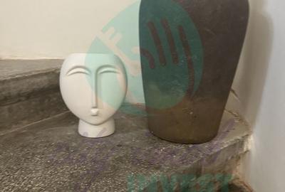 Vila interbelica AIRBNB "la cheie" - 27