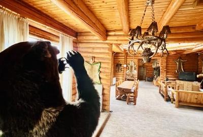 Cabana vanatoreasca din lemn cu vedere spectaculoasa, langa Castelul Cantacuzino - 9