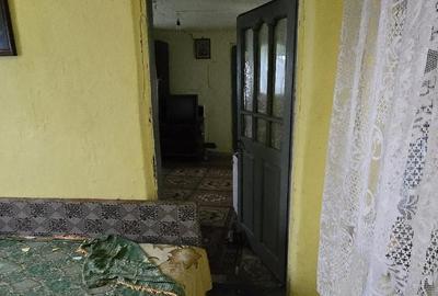 Casă cu 3 camere în Goiești - 5