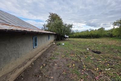 Casă individuală cu 4 camere cu Teren 3000 Mp în Deleni - 8