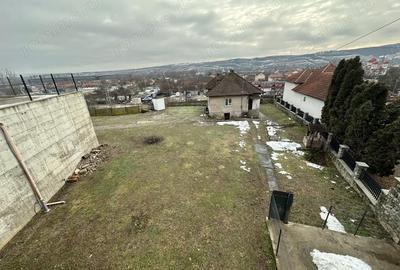 Casă cu 2 camere cu Teren 1800 Mp în Peștișu Mare - 5