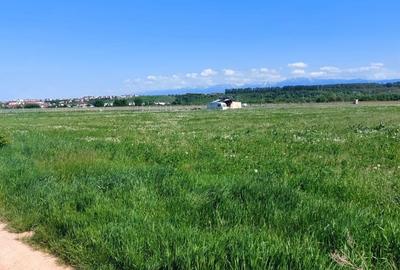 Teren  oportunitate investitie  19.000mp, zona Aeroport, - 4