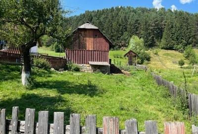 5283 mp TEREN INTRAVILAN IN ZONA TURISTICA MONTANA BUCOVINA, VAMA - SUCEAVA - 4