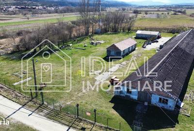 Teren de 8368 mp, în Șelimbăr - 3