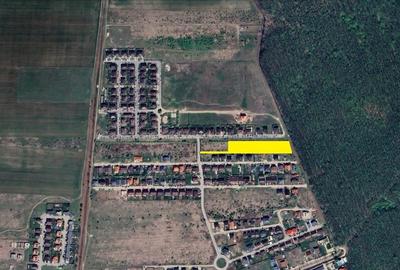 CORBEANCA - Tamasi - Corbeanca Park, 6.688 mp. teren excelent, lipit de padure - 4