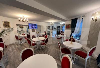 Casa de vanzare, plus afacere la cheie, la 25 de KM de Bistr - 10