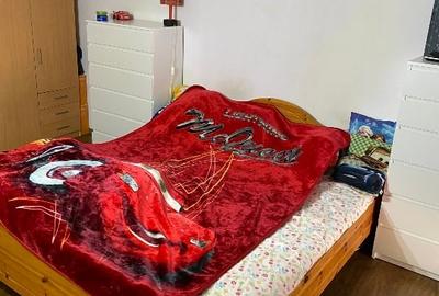 Apartament 3 camere la casa, Metianu - 12