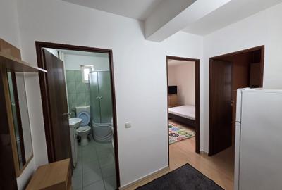 Garsonieră decomandată în Turnișor - 6