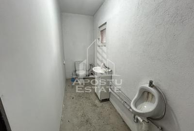 Service auto utilat,  Cheveresul Mare, 20 km de Timisoara. - 8