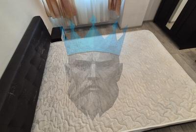 Apartament cu 2 camere decomandat, mobilat în Roșu - 14