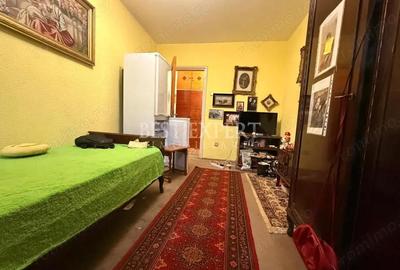 2 Camere Theodor Pallady Salajan - 3