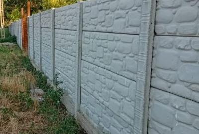 Casă cu 5 camere cu Teren 1948 Mp în Brazda lui Novac