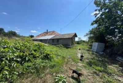 Casă individuală cu 3 camere cu Teren 1994 Mp în Negulești - 2