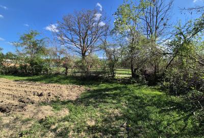 Comision 0 %/ Teren intravilan Sercaita 2247 mp Comision 0 %/ Teren intravilan Sercaita 2247 mp - 5