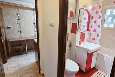 Apartament cu 2 camere decomandat, mobilat în Nord - 14