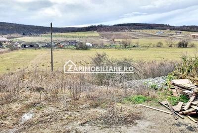 Ocazie Teren Intravilan 3.400 mp. 30 euro mp - 1