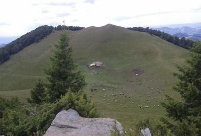 Teren agricol extravilan de 270000 mp, în Bertea - 1