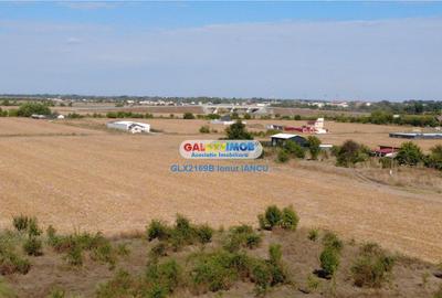 Teren intravilan de 14000 mp, în Central - 6