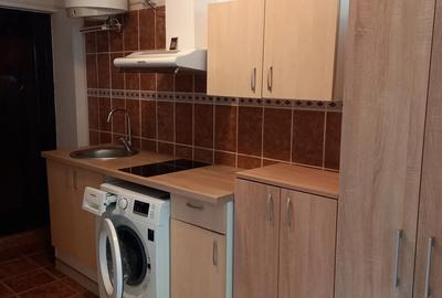 Garsonieră nedecomandată în Valea Rosie - 4