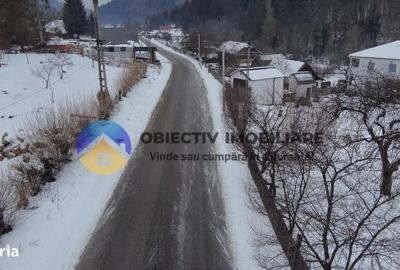 Spațiu comercial, în Tarcău - 3