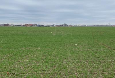 De Vanzare Teren Bragadiru|10.000 Mp|Plan Disponibil Case Insiruite|10 Loturi - 1