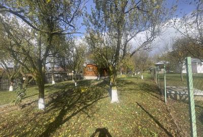 Casute Breaza, teren 1140 mp Casute Breaza, teren 1140 mp - 2