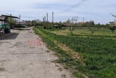 Ferma Zootehnică Mixtă – Cernateaz, Timiș | 9,5 ha | Hale Moderne, Casă 20 - 4