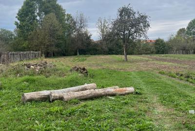 Spațiu comercial, în Almaș - 4