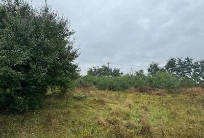 Vanzare 10.000 mp teren Liteni Suceava- la strada -potrivit proiect fonduri - 16