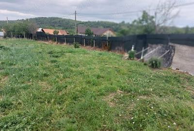 Teren în Erghevița - 3