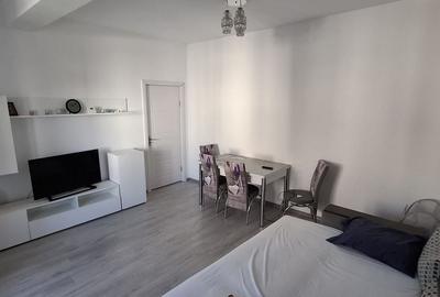 Apartament 2 camere decomandat Aurel Persu - 4