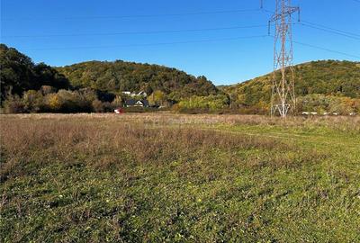 Teren de 2754 mp, în Bocșa