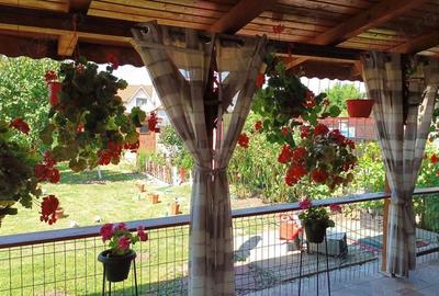 Casa cu etaj (P+1) gradina 736mp - 1