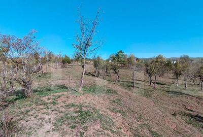 Teren extravilan cu priveli?te superba , livada ?i poten? - 23