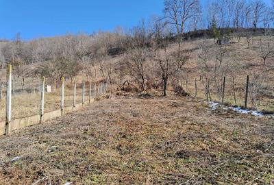 Casă cu 3 camere în Curciu - 1