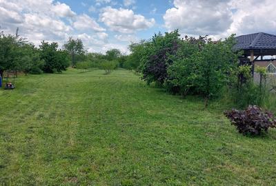 Teren de 4250 mp, în Ungureni (Dragomirești) - 6