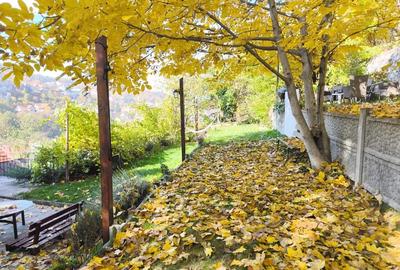 Spațiu comercial, de 200 mp, în Ultracentral - 1