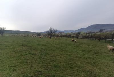 Casă cu 4 camere în Central - 5