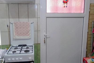 Casă cu 2 camere în Timocului-Șaguna - 14