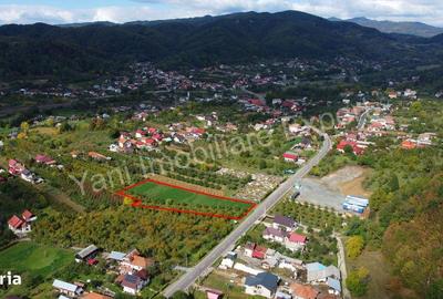 Teren de 2619 mp, în Corbeni - 4