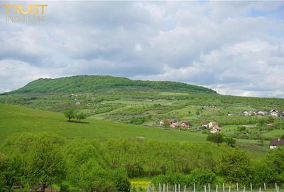 Teren intravilan Valea Castailor Bistrita - 6