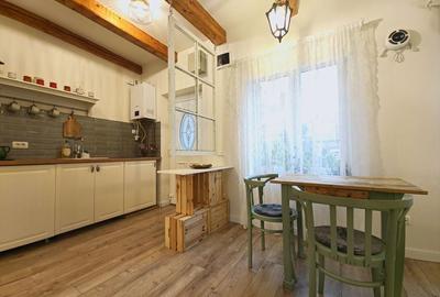 Casa 2 apartamente, ultrafinisate,mobilate la cheie, Horea zona Urania - 9